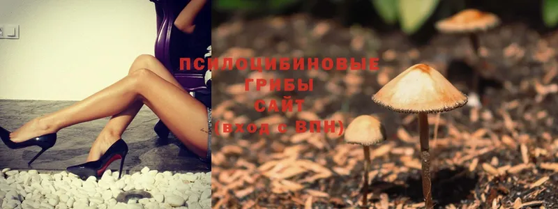 Галлюциногенные грибы Magic Shrooms  Энем 